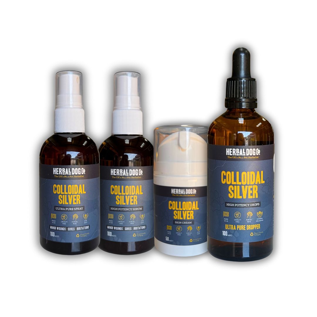 Colloidal Silver Dermal Cream for dogs – natural healing skin barrier cream | Herbal Dog Co