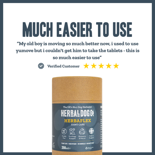 Active Joint Maintenance