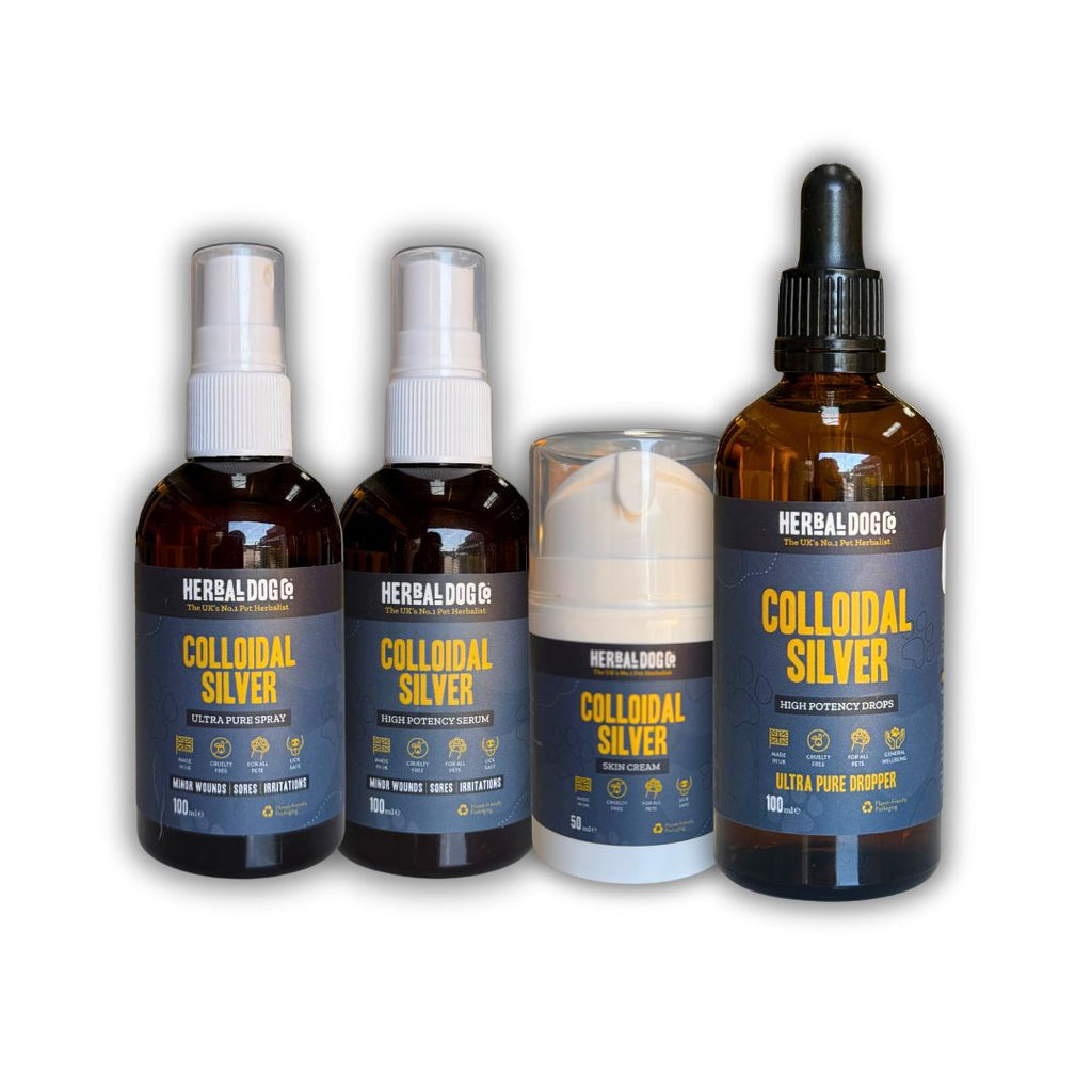 Colloidal Silver Skin Serum for dogs – high-potency natural skin healing serum | Herbal Dog Co