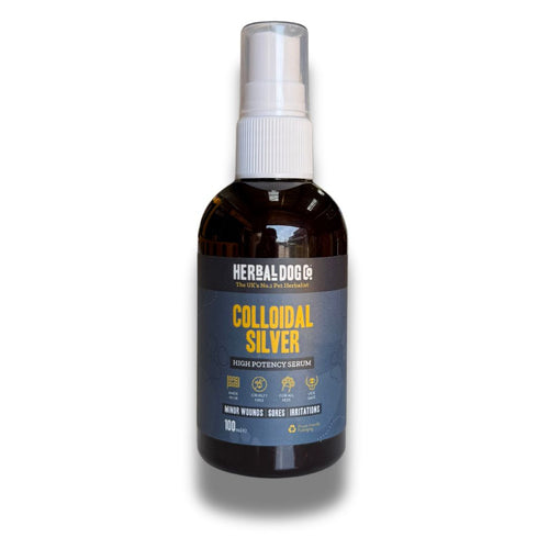 Colloidal Silver Skin Serum for dogs – high-potency natural skin healing serum | Herbal Dog Co