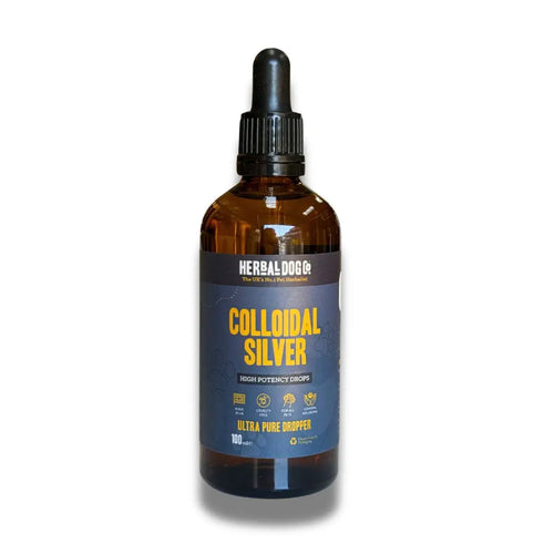 Colloidal Silver Drops for dogs – high-potency natural immune & skin support drops | Herbal Dog Co