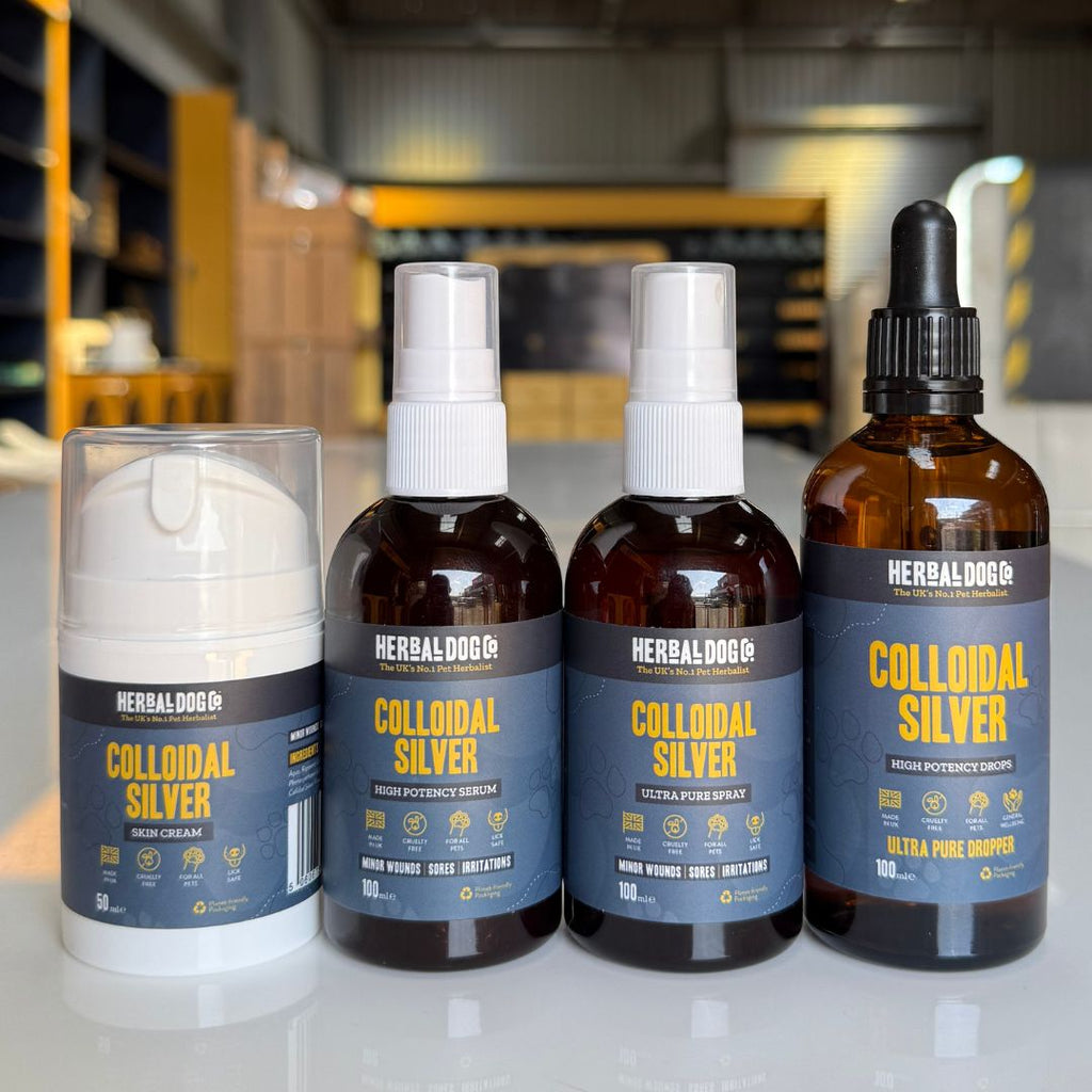 Colloidal Silver Dermal Cream for dogs – natural healing skin barrier cream | Herbal Dog Co