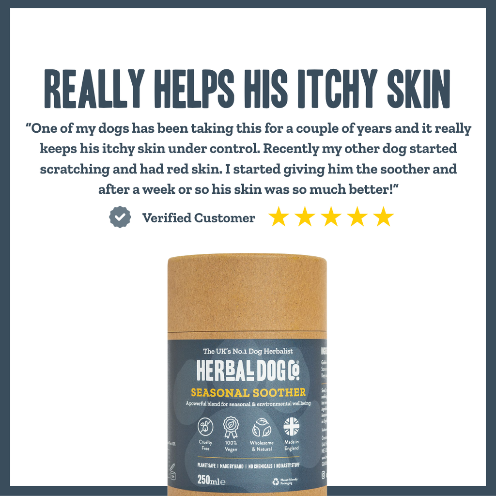 Nature's Shield Environmental Harmony Blend for dogs – natural seasonal allergy & pollen support | Herbal Dog Co