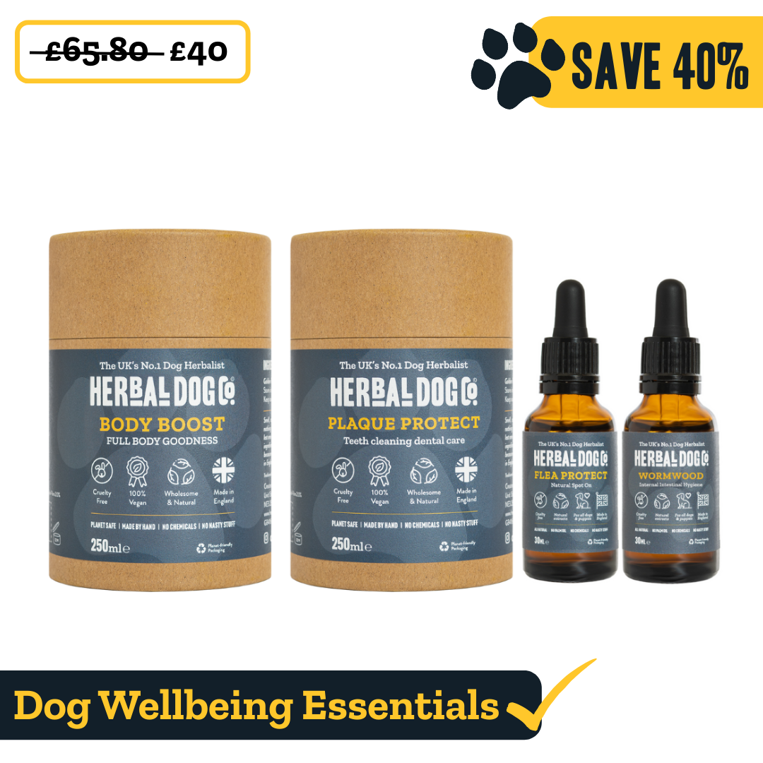 Wellbeing Complete Kit