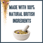 Nature's Shield Environmental Harmony Blend for dogs – natural seasonal allergy & pollen support | Herbal Dog Co