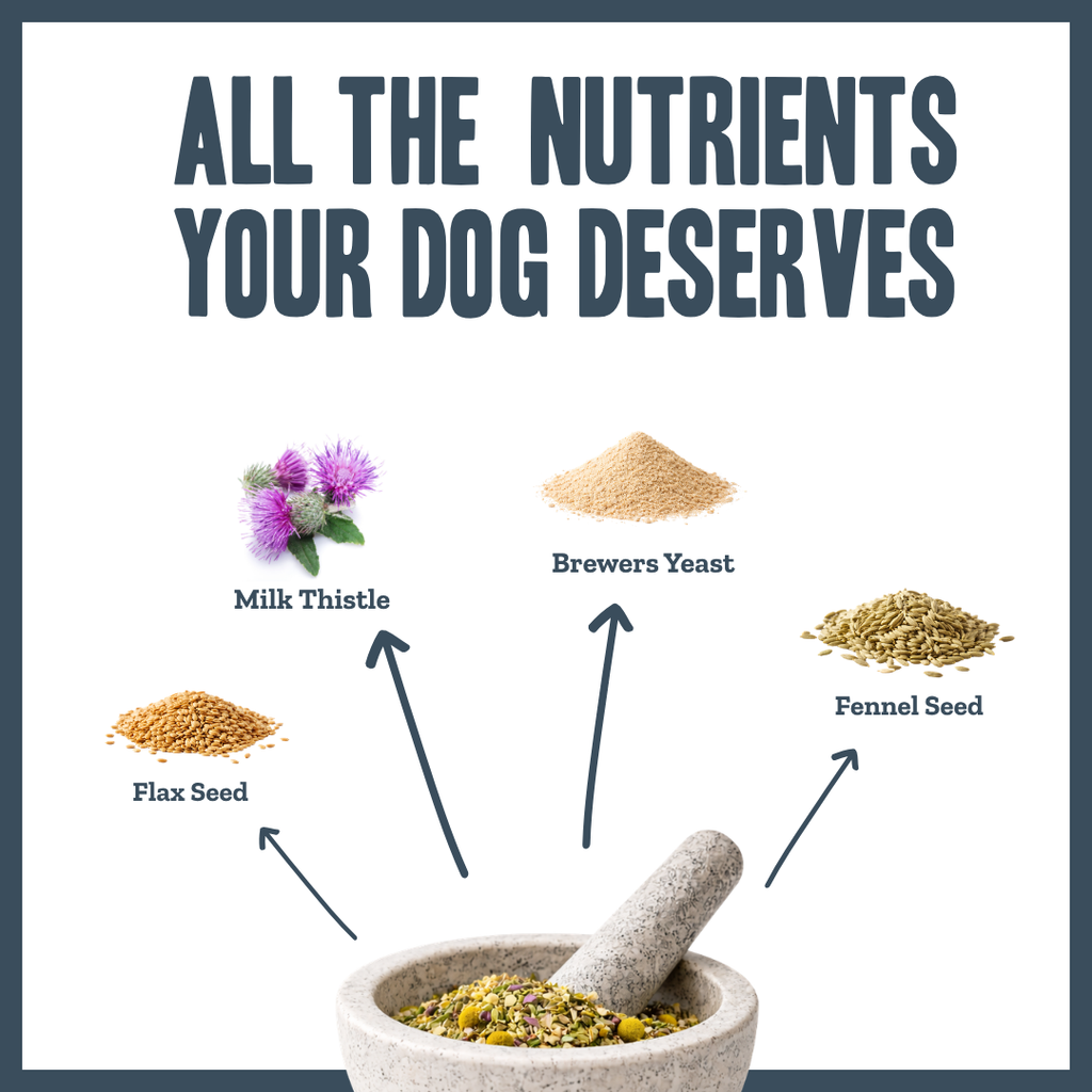 Nature's Shield Environmental Harmony Blend for dogs – natural seasonal allergy & pollen support | Herbal Dog Co
