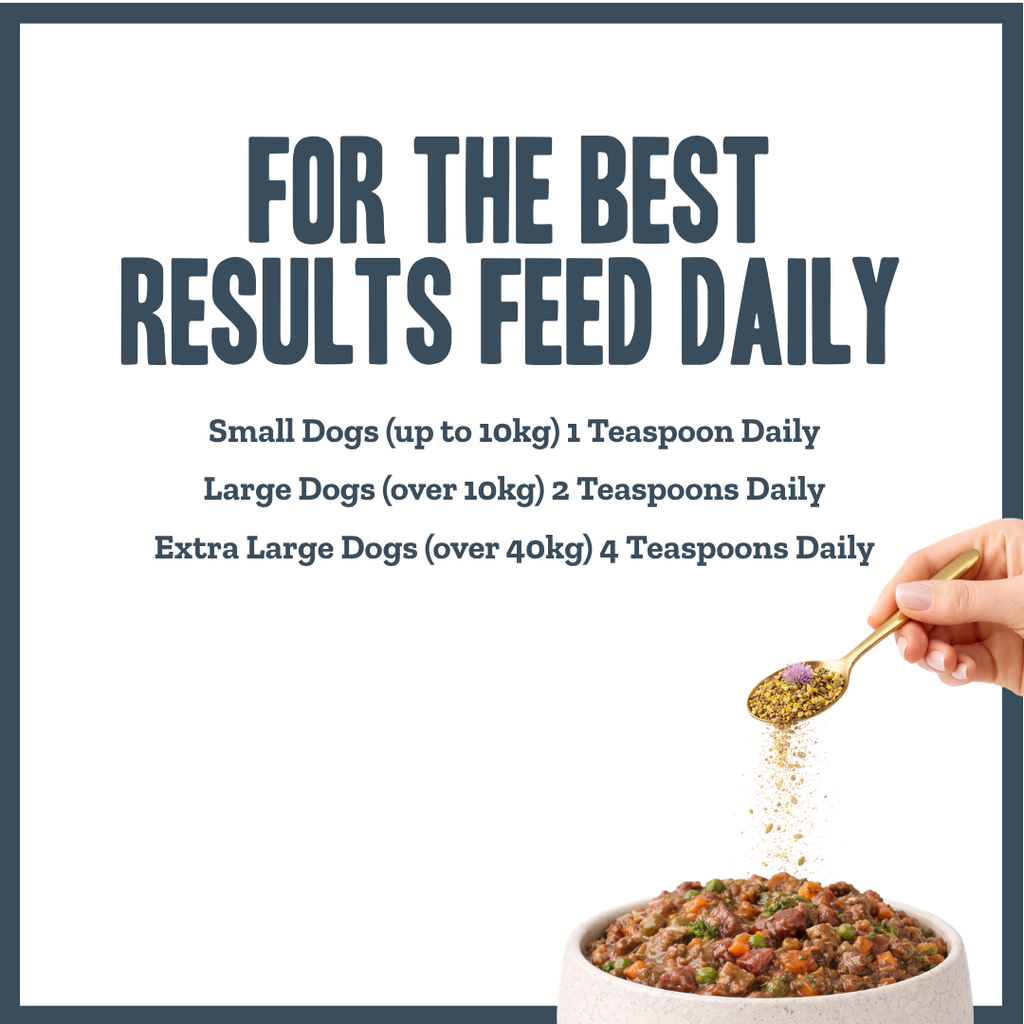 Nature's Shield Environmental Harmony Blend for dogs – natural seasonal allergy & pollen support | Herbal Dog Co