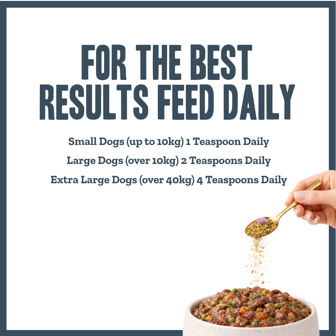 Nature's Shield Environmental Harmony Blend