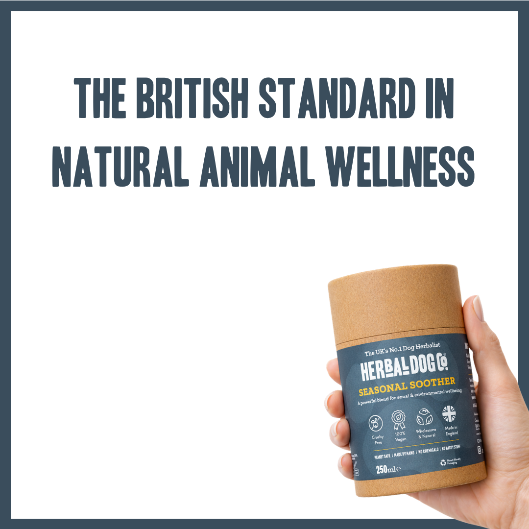 Nature's Shield Environmental Harmony Blend for dogs – natural seasonal allergy & pollen support | Herbal Dog Co