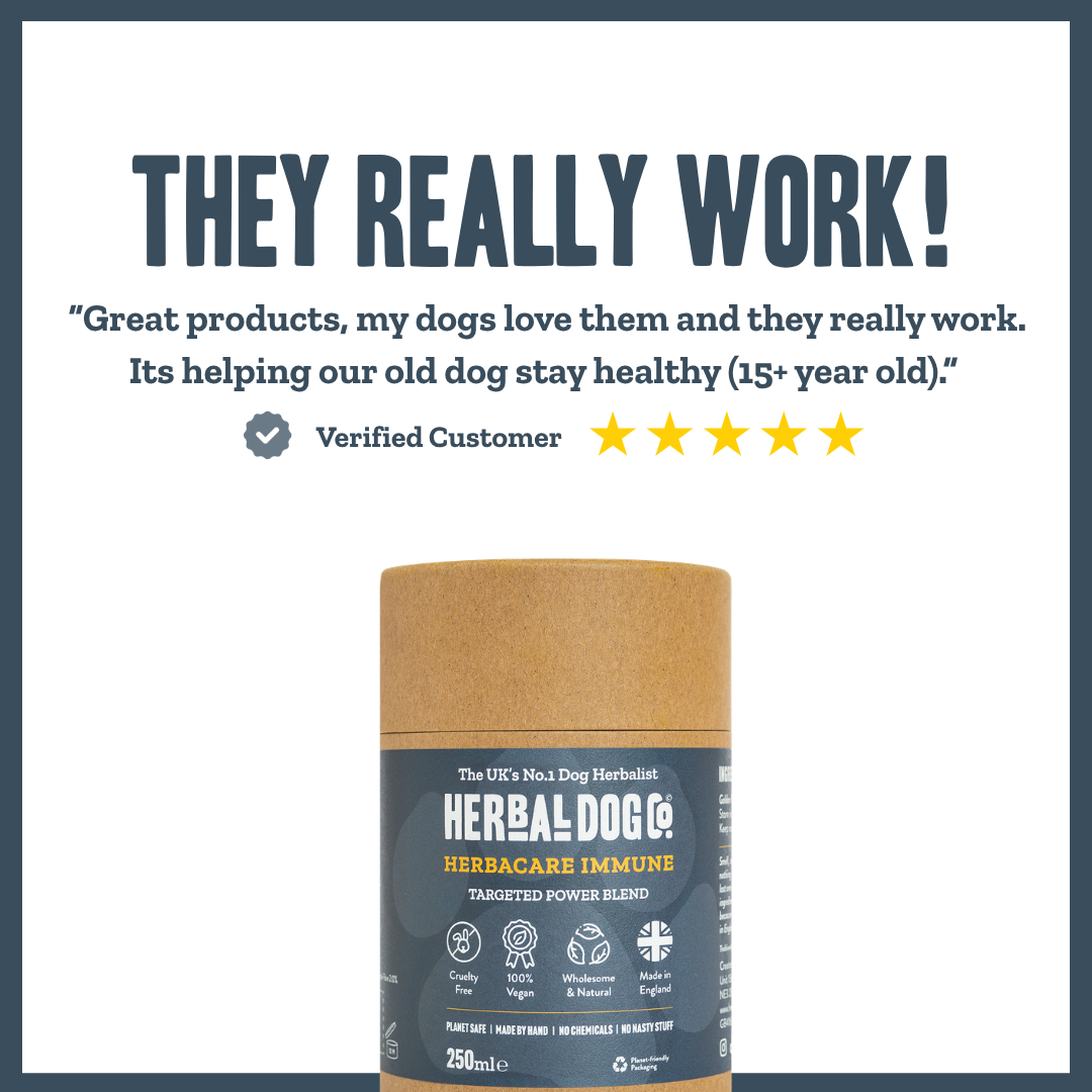 Natural Immune Support for dogs – herbal immunity boost supplement | Herbal Dog Co