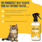 Coconut | Botanical Instant Freshening Dry Shampoo