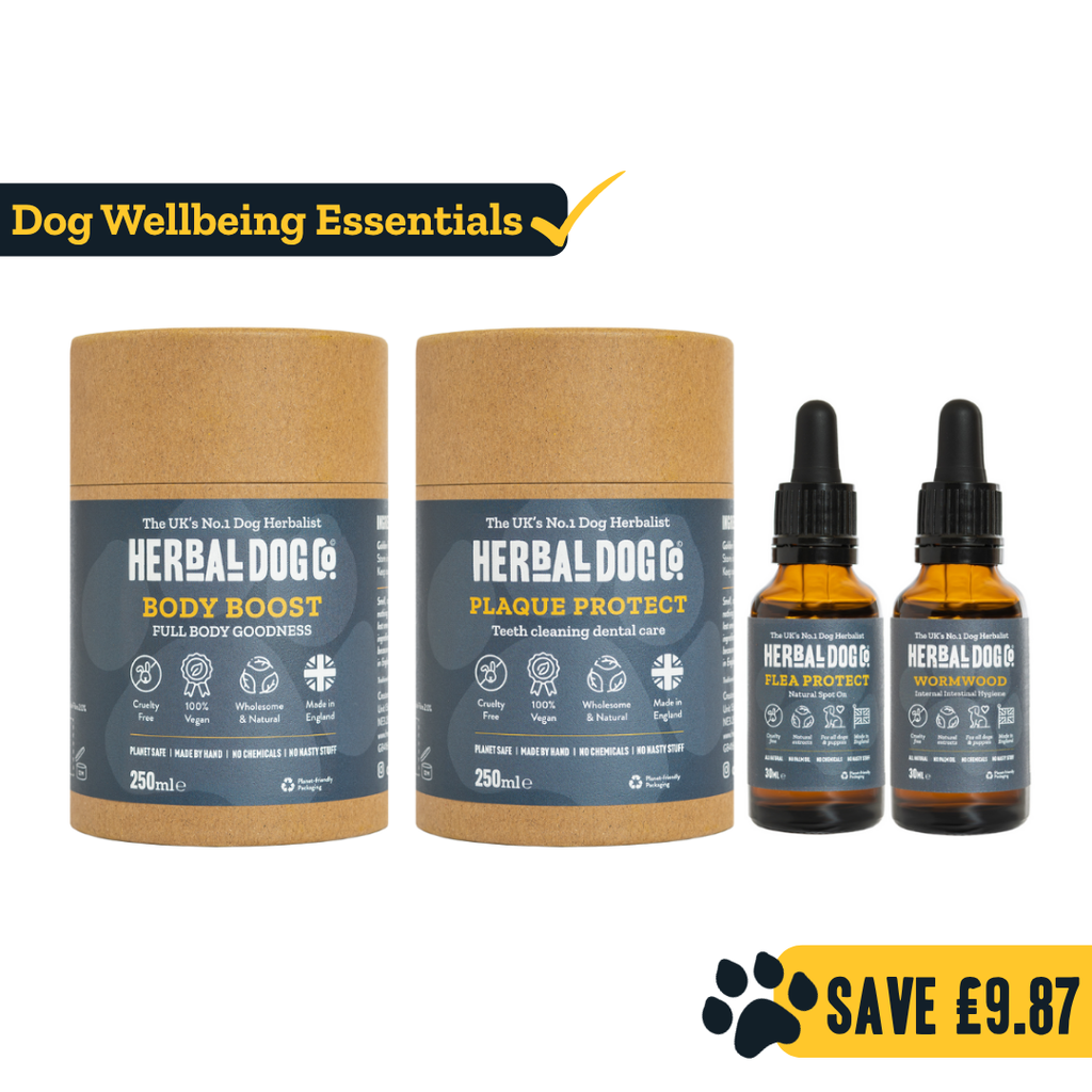 Wellbeing Complete Kit for dogs – natural health & supplement starter bundle | Herbal Dog Co