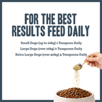 Natural Immune Support for dogs – herbal immunity boost supplement | Herbal Dog Co