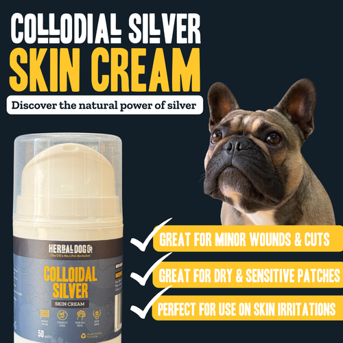 Colloidal Silver Dermal Cream for dogs – natural healing skin barrier cream | Herbal Dog Co