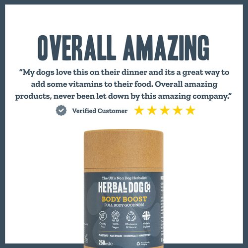 Daily Vitality Multivitamin Support for dogs – complete herbal daily vitamin supplement | Herbal Dog Co