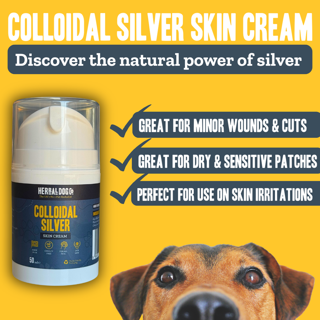 Colloidal Silver Dermal Cream for dogs – natural healing skin barrier cream | Herbal Dog Co
