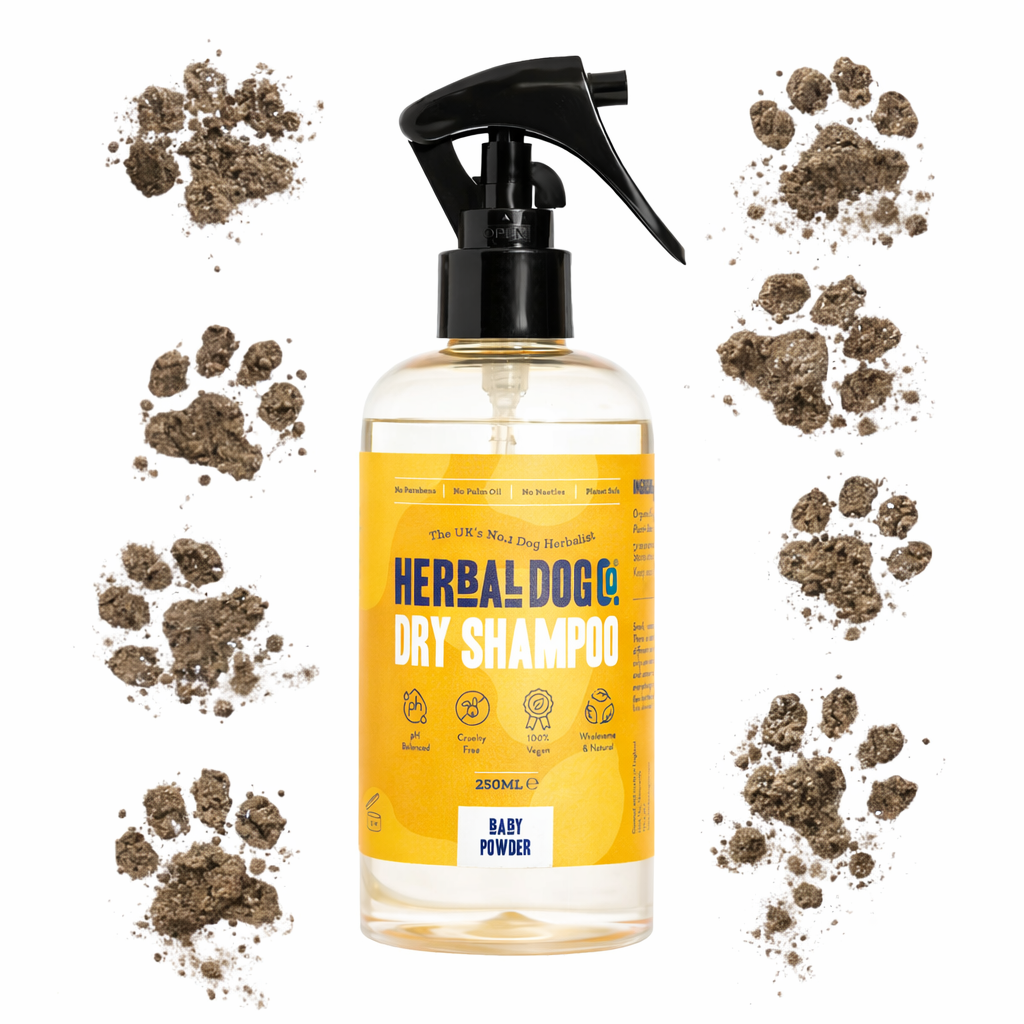 Baby Powder | Botanical Instant Freshening Dry Shampoo