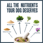 Daily Vitality Multivitamin Support for dogs – complete herbal daily vitamin supplement | Herbal Dog Co