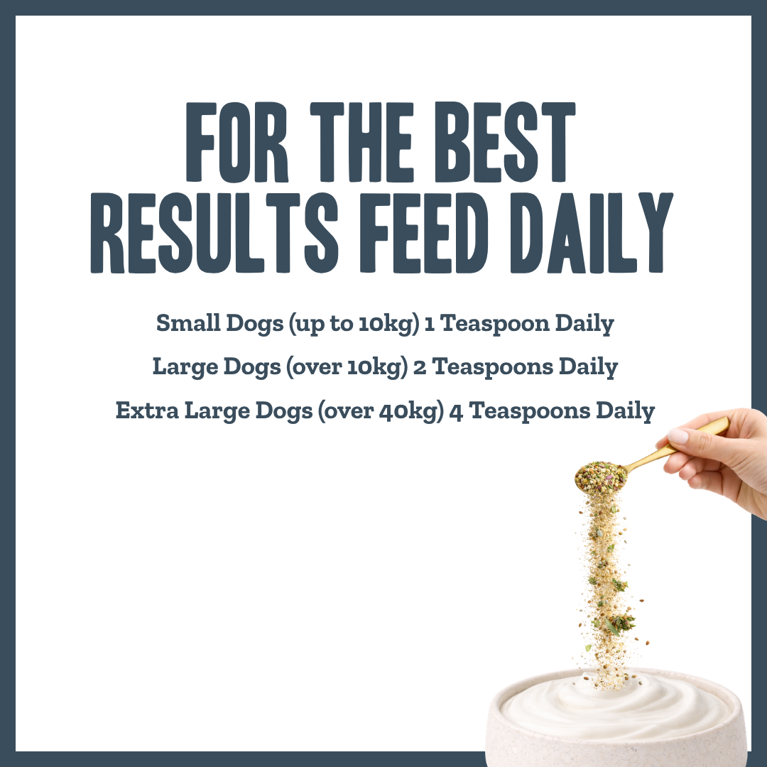 Daily Vitality Multivitamin Support for dogs – complete herbal daily vitamin supplement | Herbal Dog Co