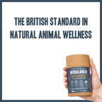 Daily Vitality Multivitamin Support for dogs – complete herbal daily vitamin supplement | Herbal Dog Co