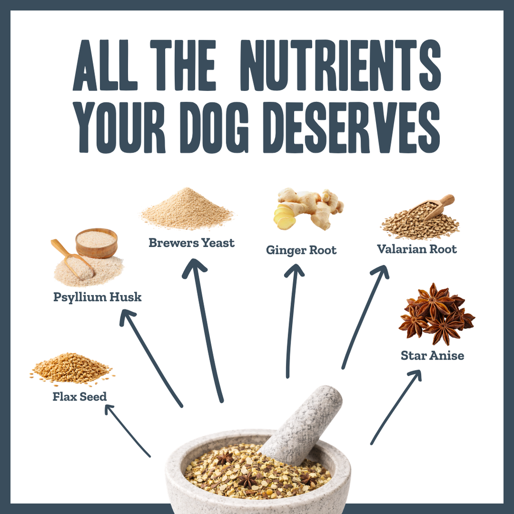 Probiotic Digestive Gut Support