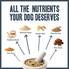 Probiotic Digestive Gut Support