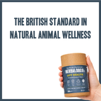 Probiotic Digestive Gut Support