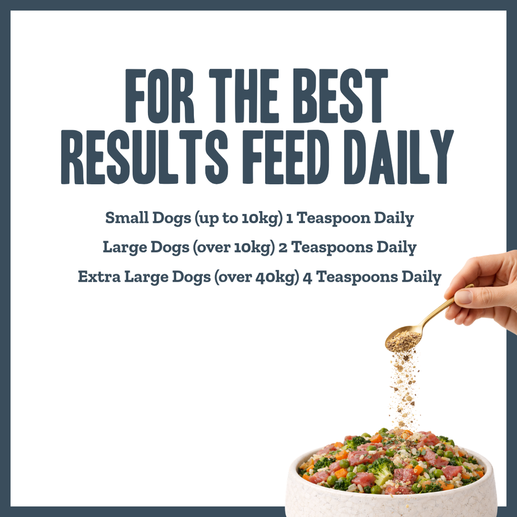 Probiotic Digestive Gut Support