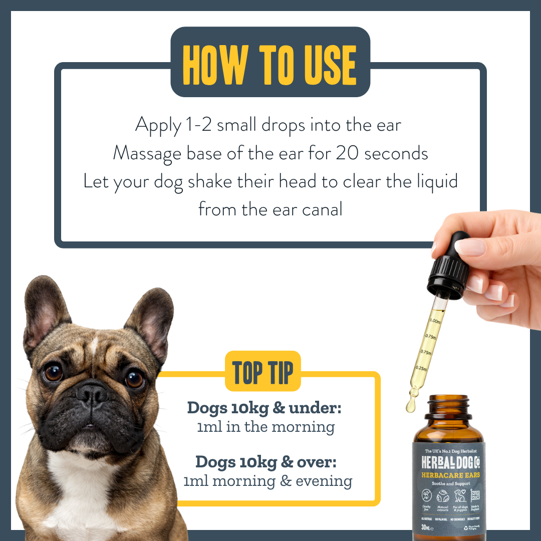 Botanical Ear Cleansing Drops for dogs – natural herbal ear care tonic | Herbal Dog Co