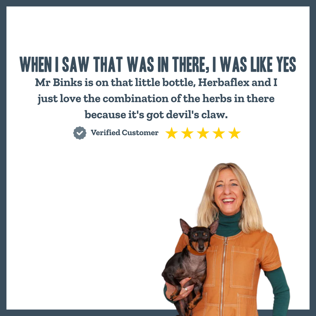 Active Joint Maintenance Liquid for dogs – herbal joint & flexibility liquid supplement | Herbal Dog Co