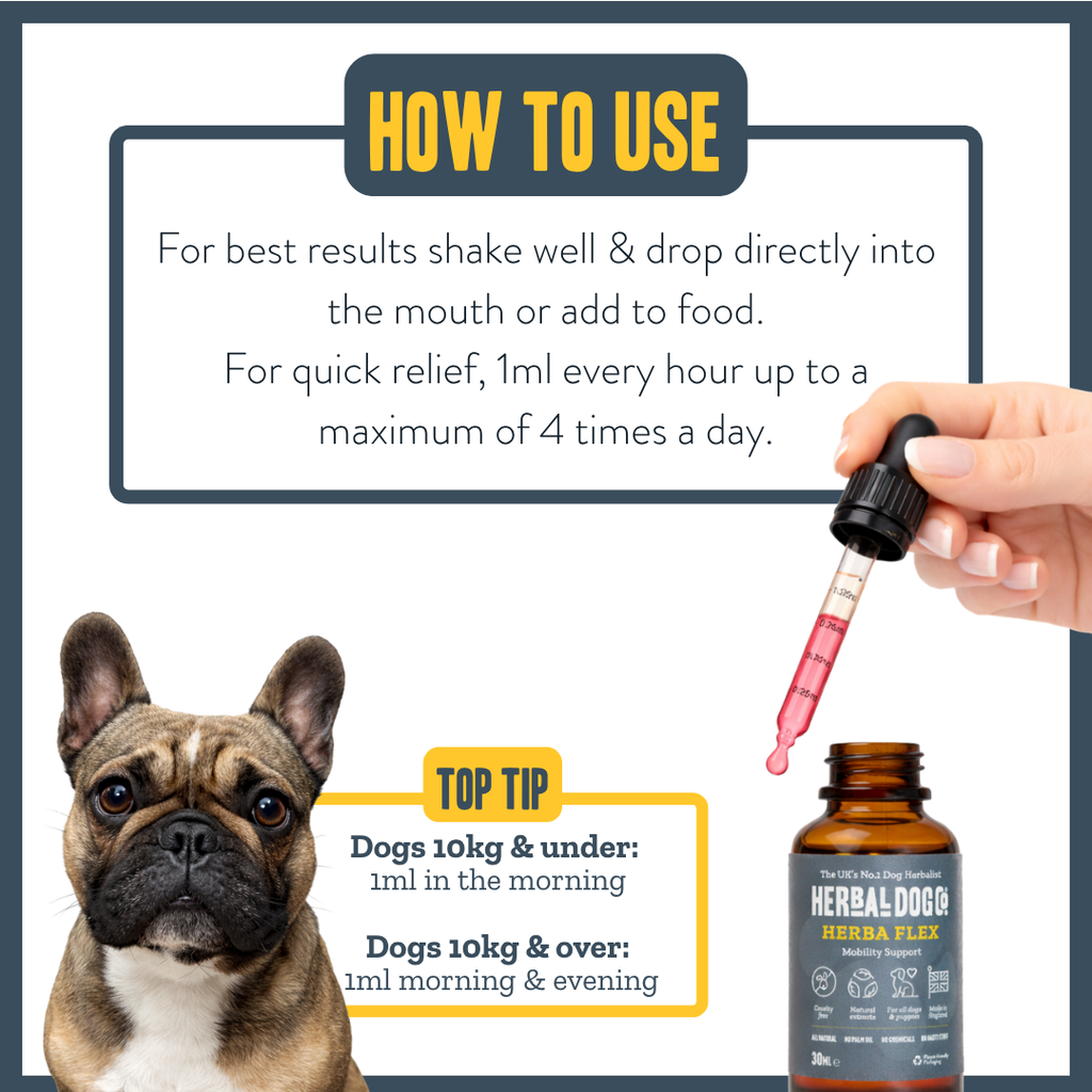 Active Joint Maintenance Liquid for dogs – herbal joint & flexibility liquid supplement | Herbal Dog Co