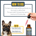 Active Joint Maintenance Liquid for dogs – herbal joint & flexibility liquid supplement | Herbal Dog Co