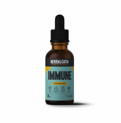 Cat Immune Winter Care Drops – natural herbal immunity supplement for cats | Herbal Dog Co