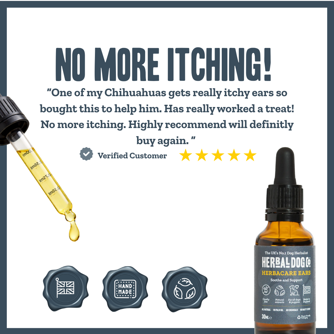 Botanical Ear Cleansing Drops