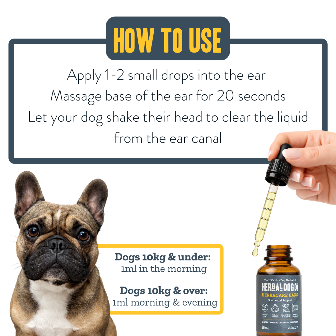 Botanical Ear Cleansing Drops