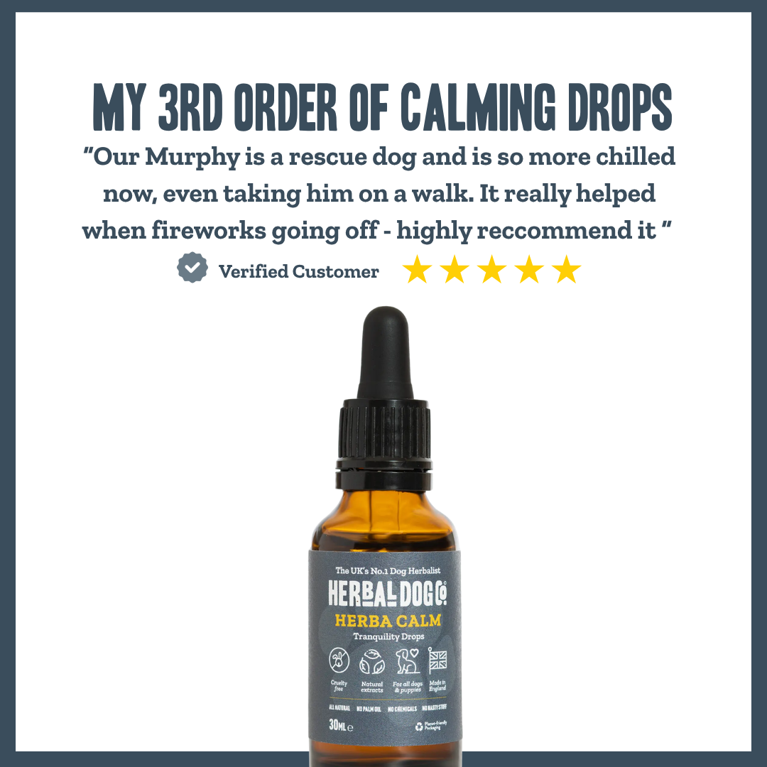 Inner Calm Support Liquid