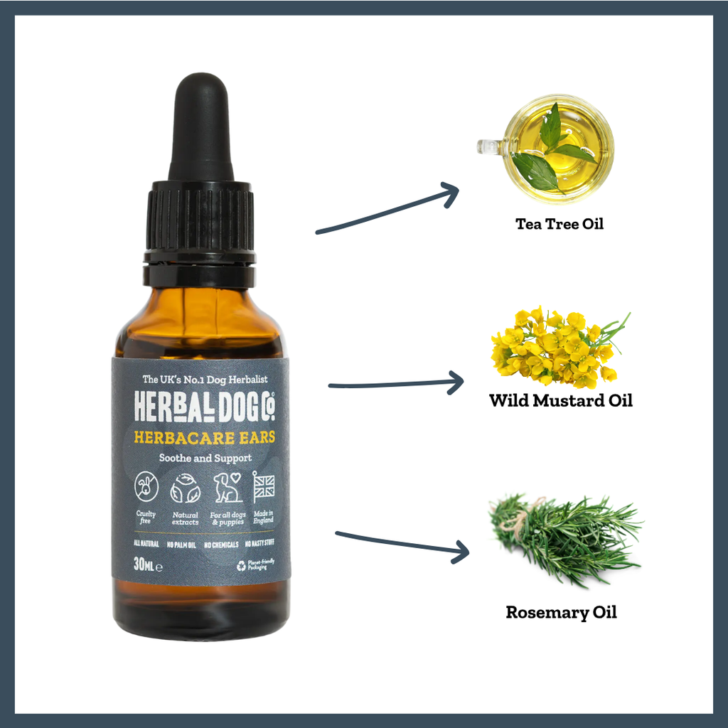 Botanical Ear Cleansing Drops for dogs – natural herbal ear care tonic | Herbal Dog Co