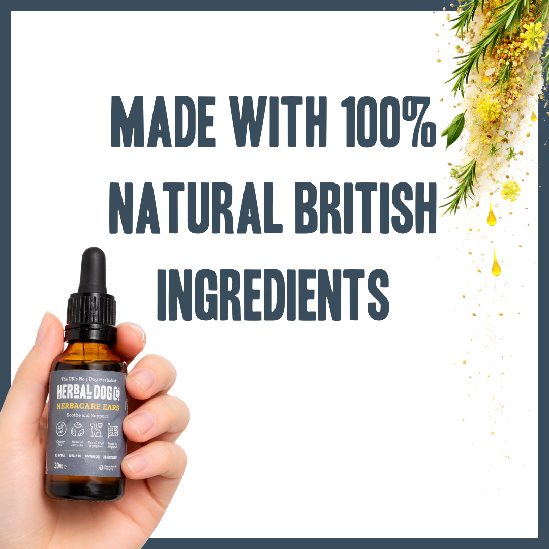 Botanical Ear Cleansing Drops