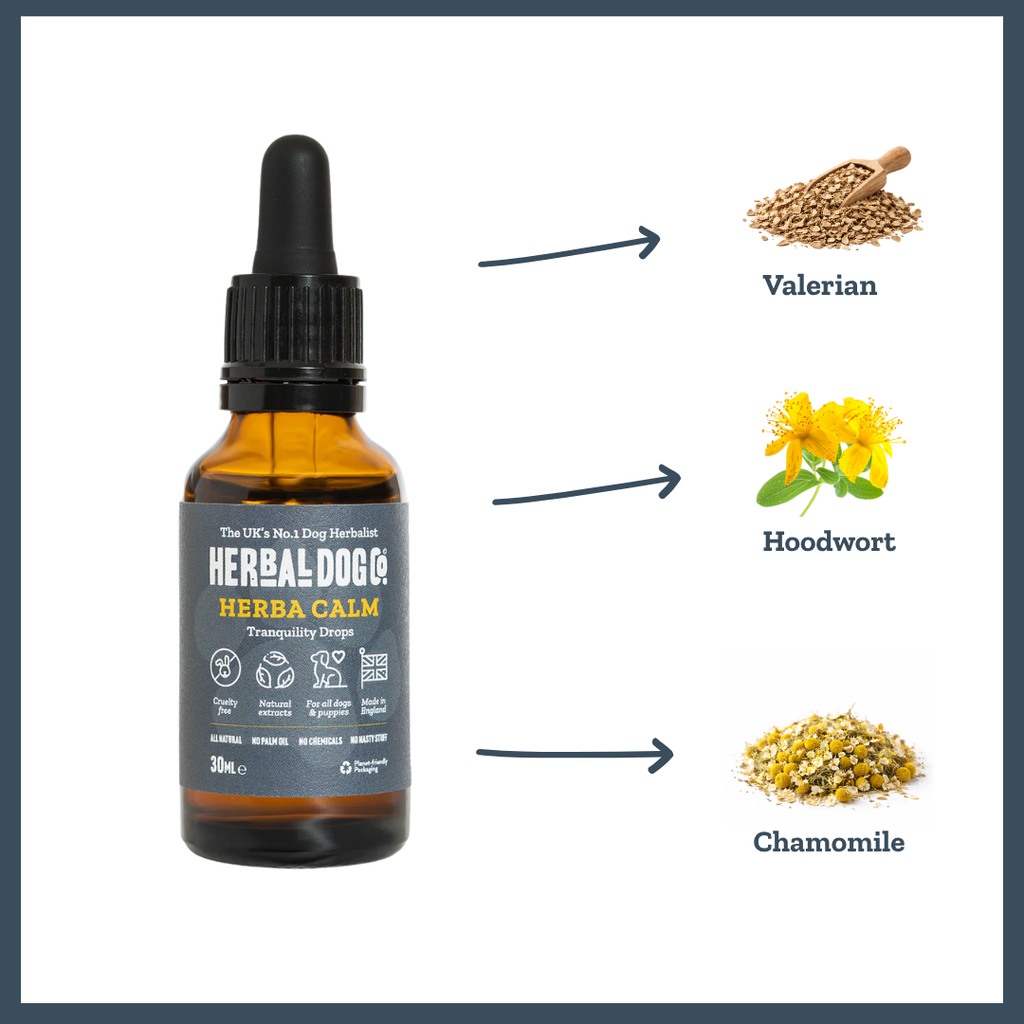 Inner Calm Support Liquid