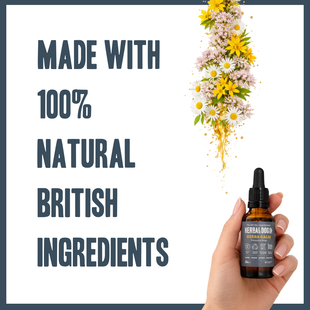 Inner Calm Support Liquid