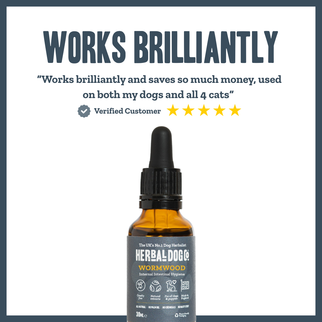 Wormwood Gut Clarity for dogs – natural herbal gut cleanse & dewormer | Herbal Dog Co