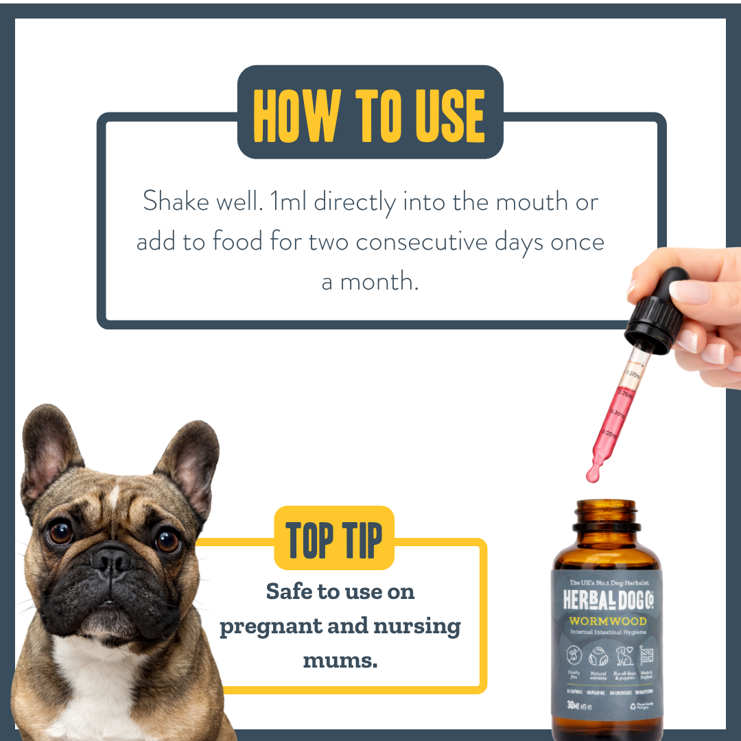 Wormwood Gut Clarity for dogs – natural herbal gut cleanse & dewormer | Herbal Dog Co