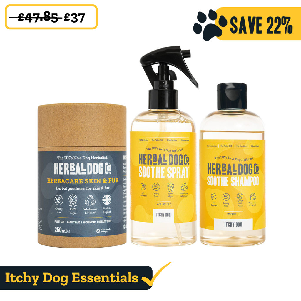 Itchy Dog Complete Kit
