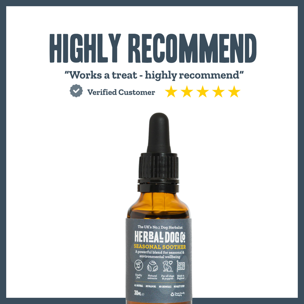 Nature's Shield Environmental Harmony for dogs – natural hay fever & seasonal allergy relief | Herbal Dog Co