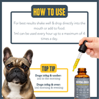 Nature's Shield Environmental Harmony for dogs – natural hay fever & seasonal allergy relief | Herbal Dog Co