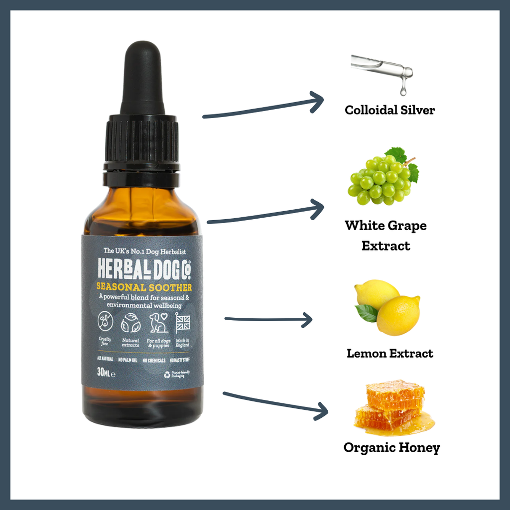 Nature's Shield Environmental Harmony for dogs – natural hay fever & seasonal allergy relief | Herbal Dog Co