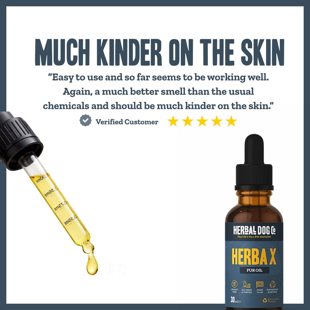 Herba X Aromatic Botanical Coat Oil