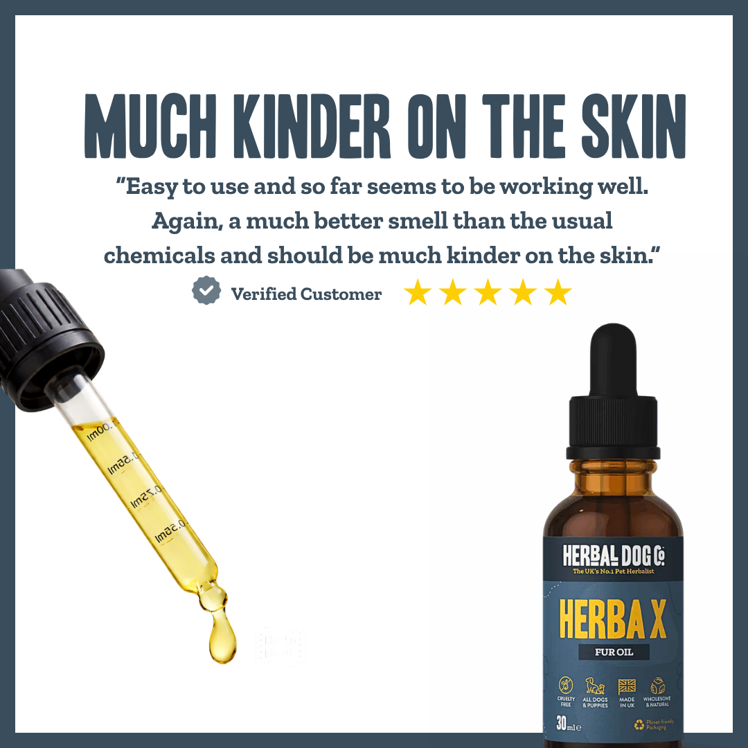 Herba X Aromatic Botanical Coat Oil