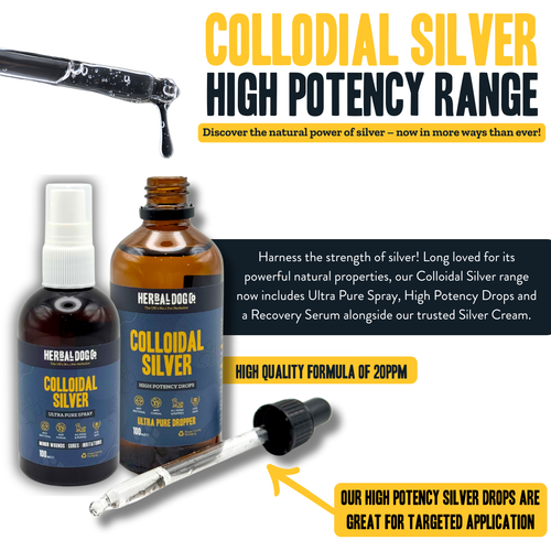 Colloidal Silver Skin Serum for dogs – high-potency natural skin healing serum | Herbal Dog Co