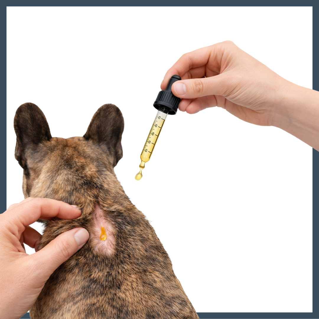 Herba X Aromatic Botanical Coat Oil